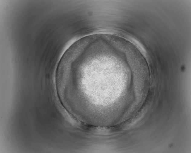 X0000100980907200807221230