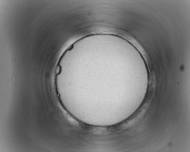 X0000100980909200807221230