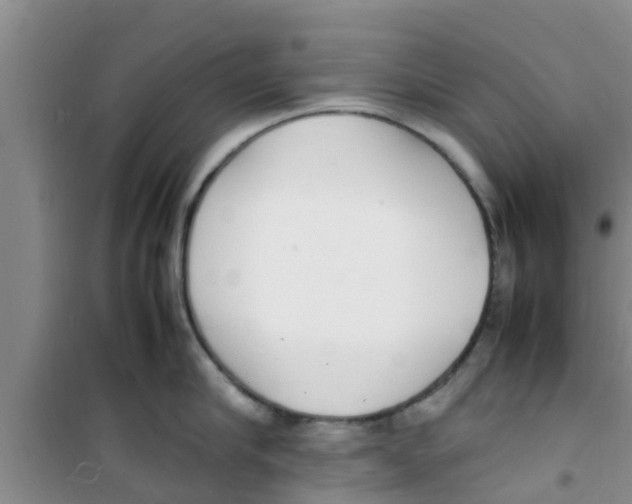 X0000100980910200807221230