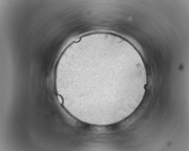 X0000100980911200807221230