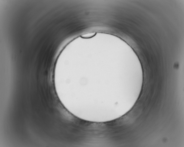 X0000100980912200807221230