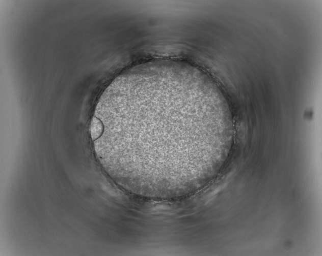 X0000100980913200807221230