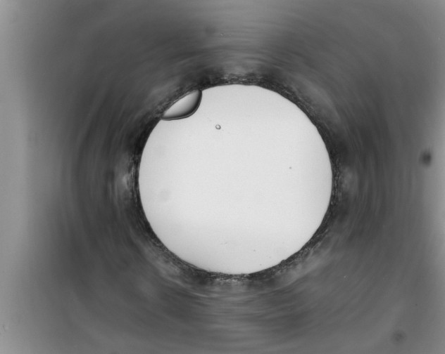 X0000100980914200807221230