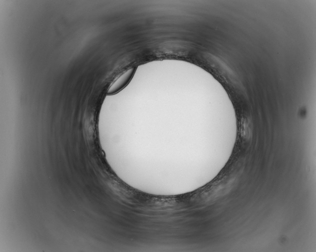 X0000100980915200807221230