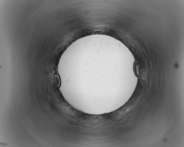 X0000100980916200807221230