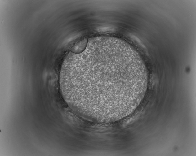 X0000100980917200807221230