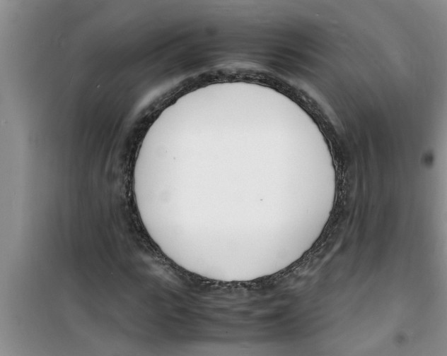 X0000100980919200807221230