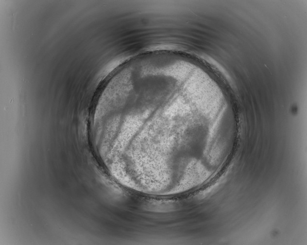 X0000100980921200807221230