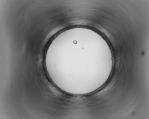 X0000100980922200807221230