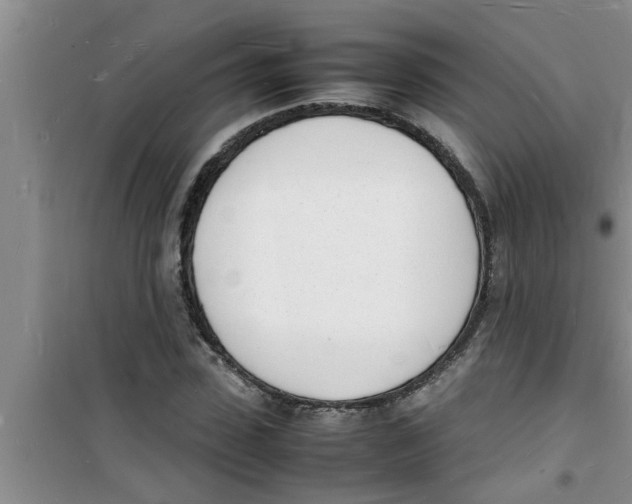 X0000100980923200807221230