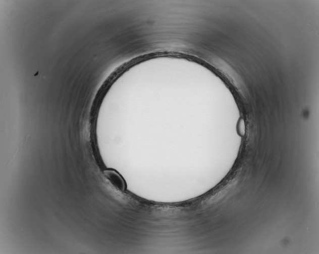 X0000100980924200807221230