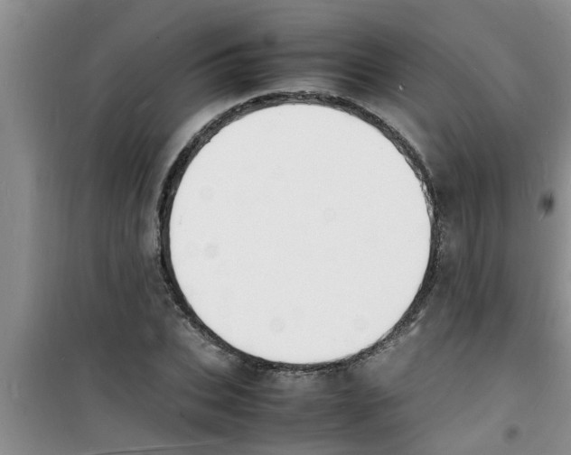 X0000100980927200807221230