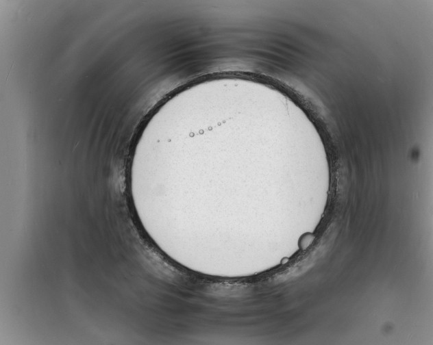 X0000100980929200807221230