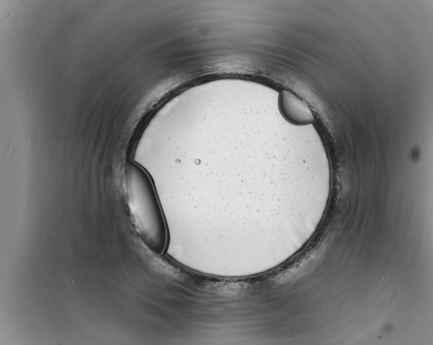 X0000100980930200807221230