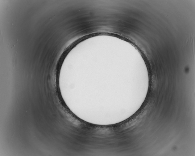 X0000100980931200807221230