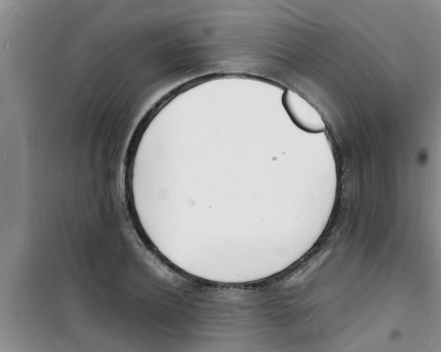 X0000100980932200807221230