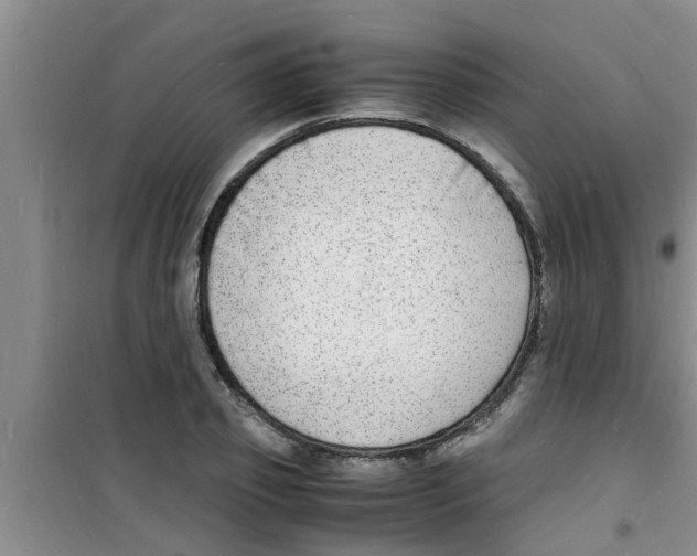 X0000100980933200807221230