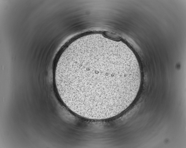 X0000100980934200807221230