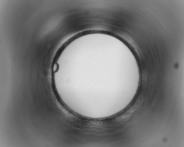 X0000100980935200807221230