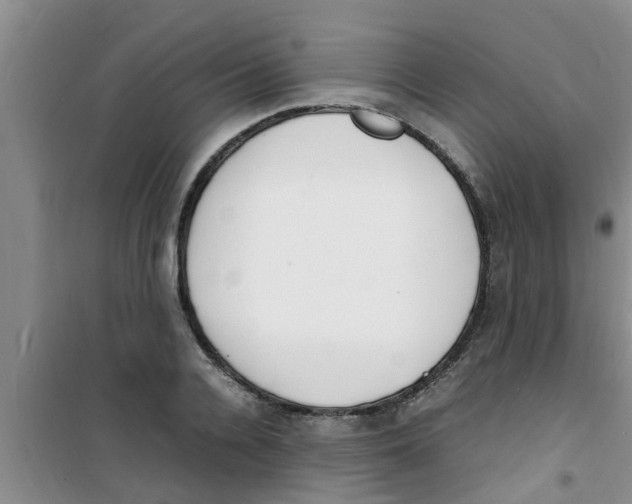 X0000100980936200807221230