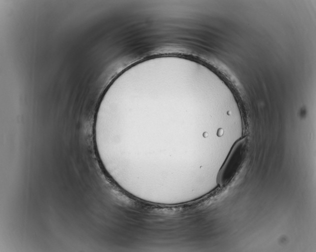 X0000100980937200807221230