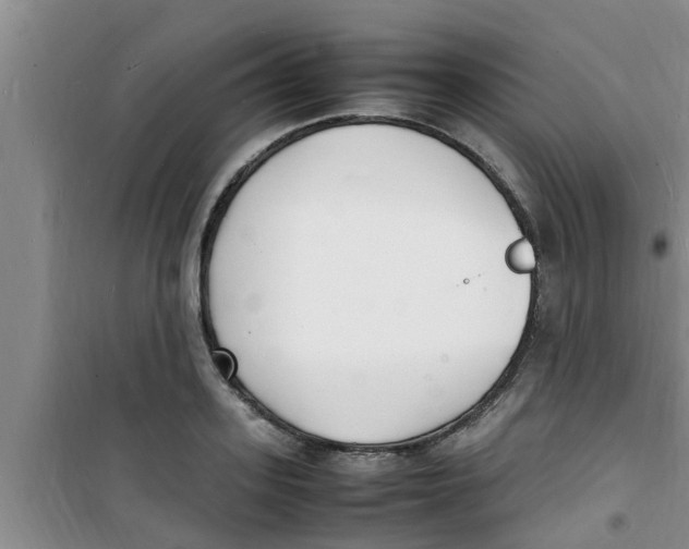 X0000100980939200807221230