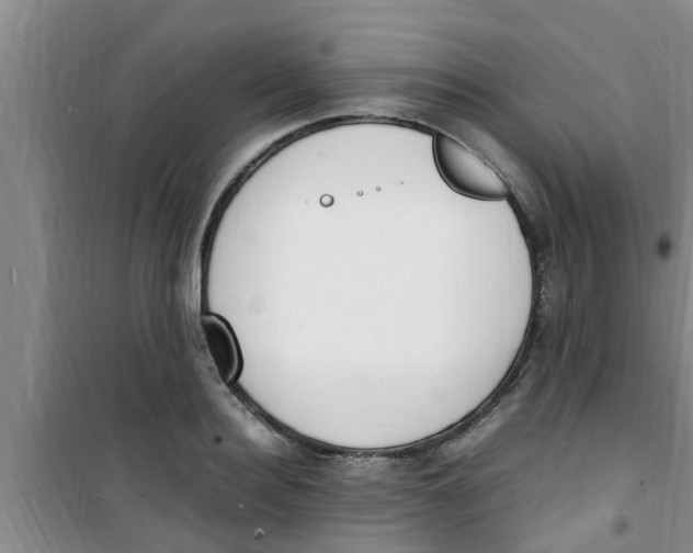 X0000100980940200807221230