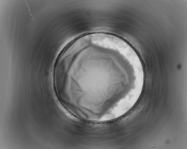 X0000100980941200807221230