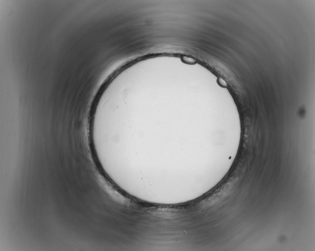 X0000100980942200807221230