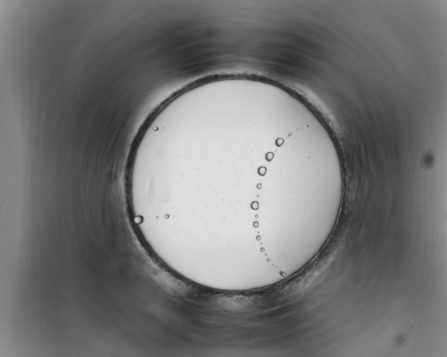 X0000100980943200807221230