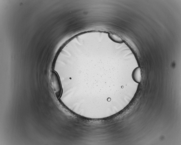 X0000100980944200807221230