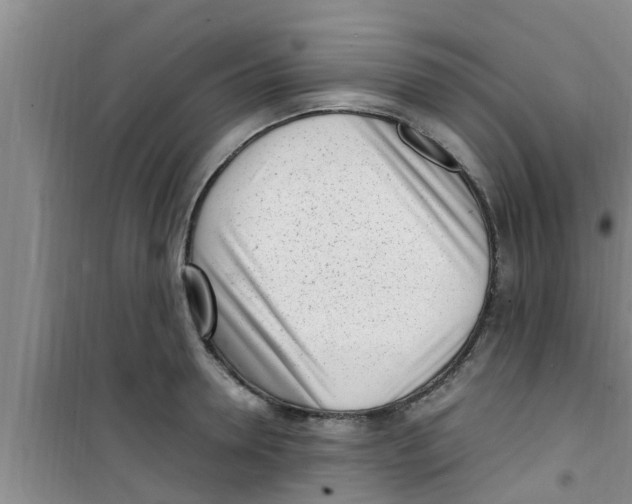 X0000100980946200807221230