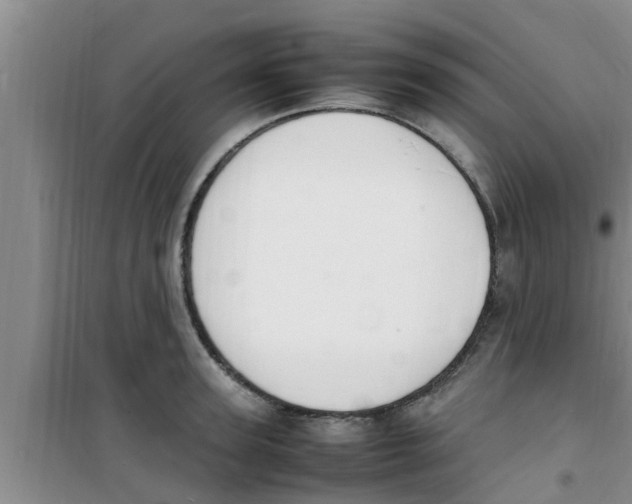 X0000100980947200807221230