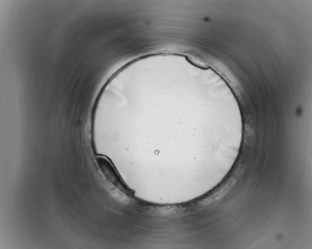 X0000100980948200807221230