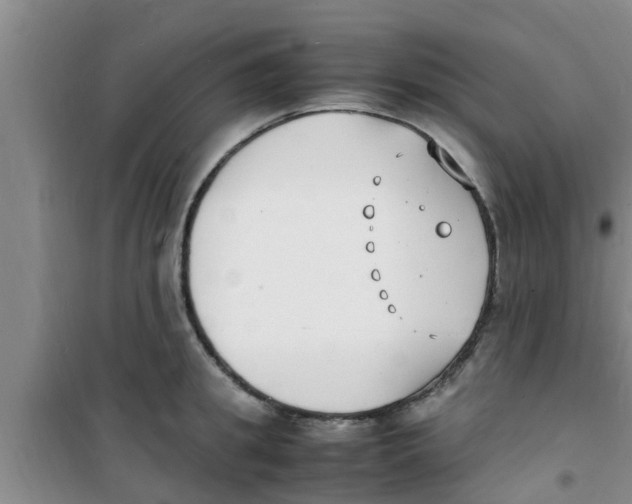 X0000100980949200807221230