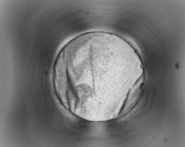 X0000100980952200807221230