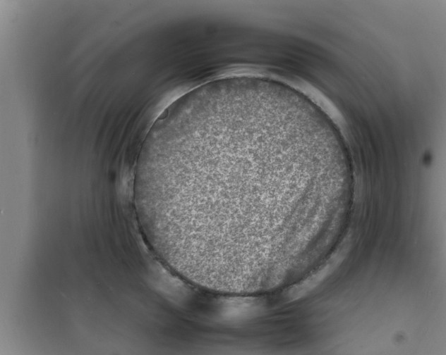 X0000100980953200807221230