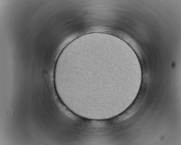 X0000100980954200807221230