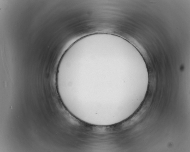 X0000100980956200807221230