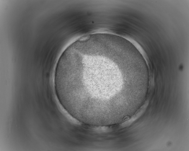 X0000100980957200807221230