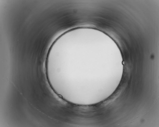 X0000100980959200807221230