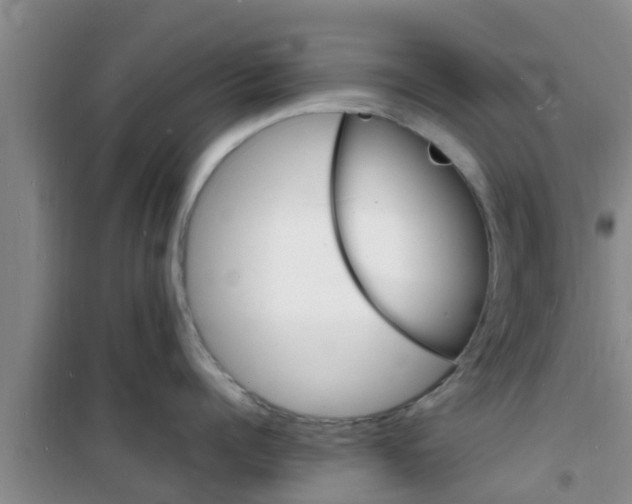 X0000100980960200807221230