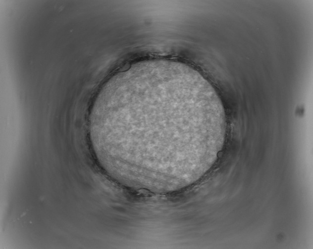 X0000100980961200807221230