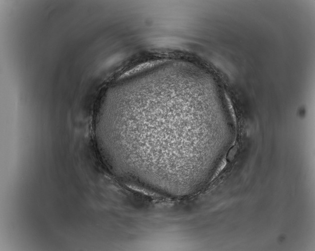 X0000100980965200807221230