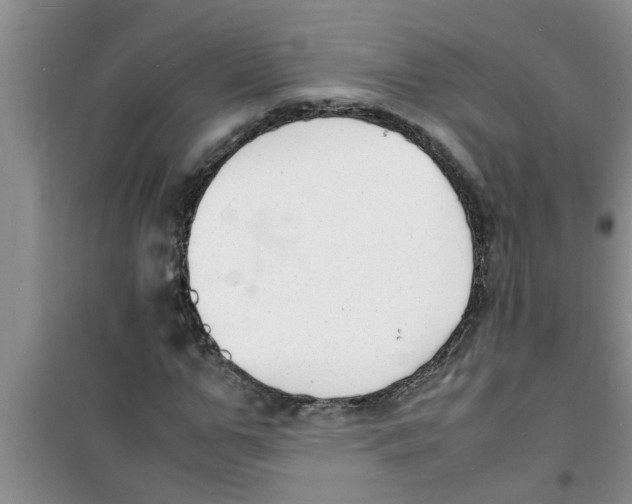 X0000100980967200807221230