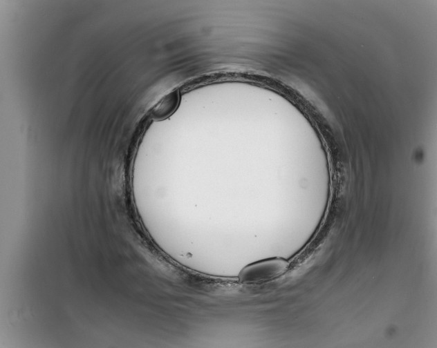 X0000100980969200807221230