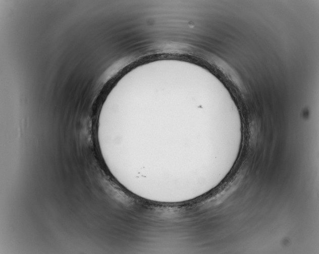 X0000100980970200807221230