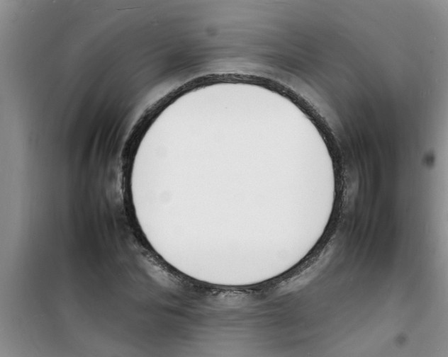 X0000100980974200807221229