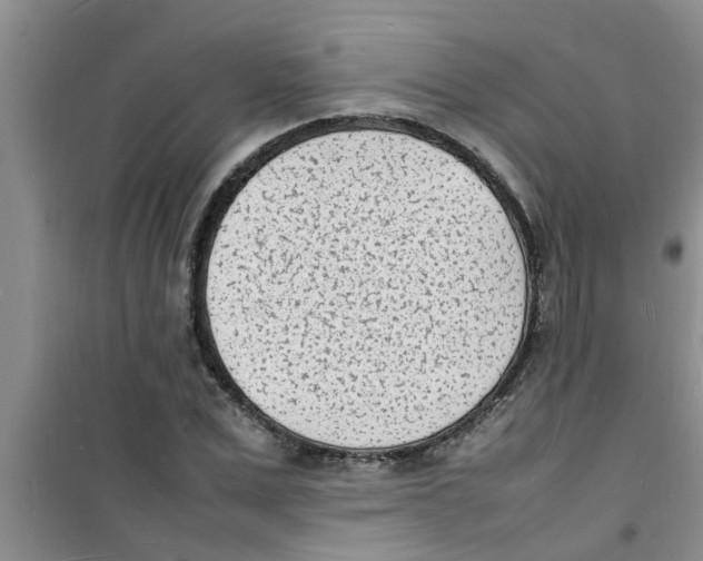 X0000100980975200807221229