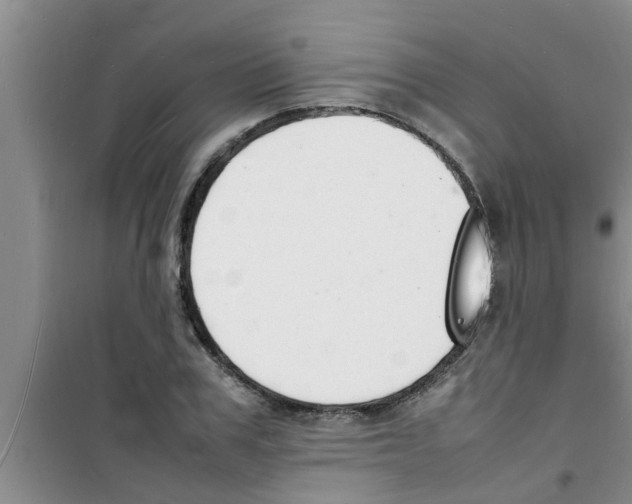 X0000100980979200807221229